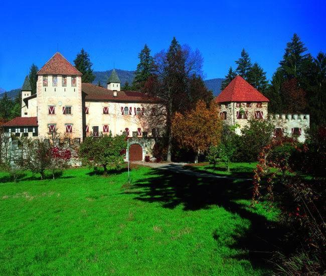 Agriturismo Pisani Brez Luaran gambar