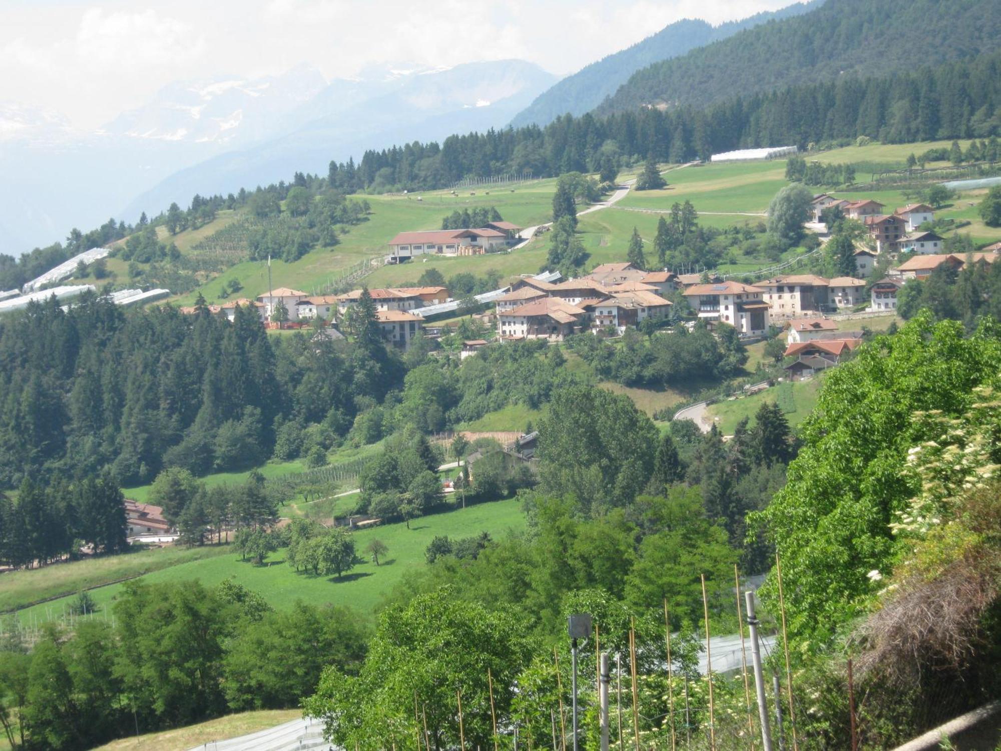 Agriturismo Pisani Brez Luaran gambar